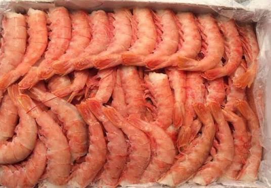Langostino colita