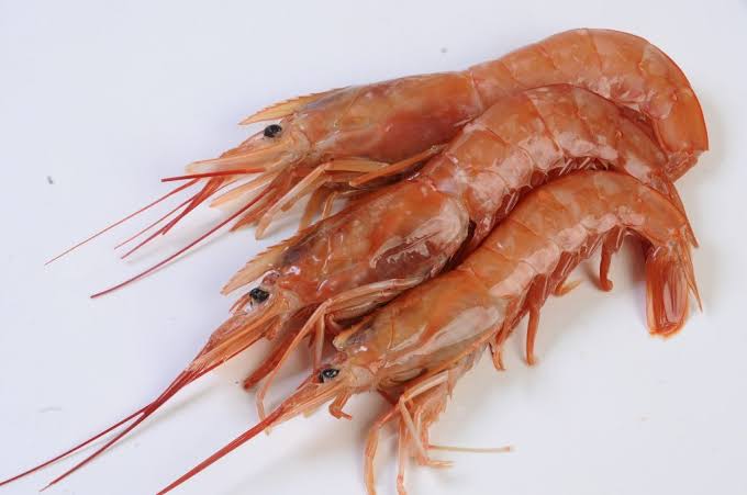 Langostino